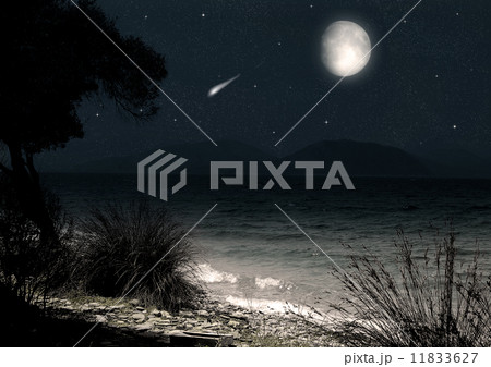 moon in the night sky 11833627