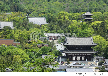 京都　双ヶ丘から見た新緑の仁和寺 11833748