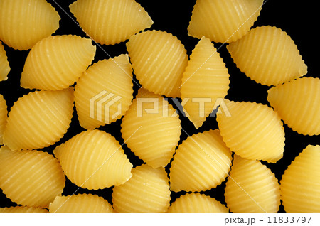 pasta shells background 11833797