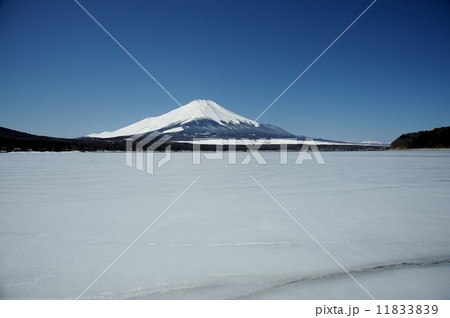 山中湖からの富士山 山中湖からの富士山 11833839