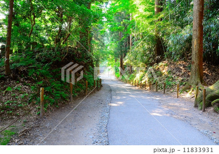 関山　中尊寺　月見坂 11833931