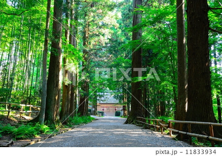 関山中尊寺 白山神社参道 関山中尊寺 白山神社参道 11833934