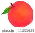 林檎 11833985