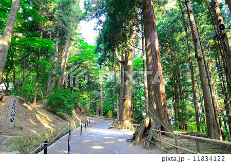 関山 中尊寺 月見坂 関山 中尊寺 月見坂 11834122