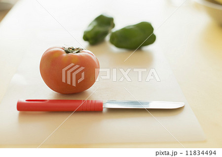 ワーキングファーザー 11834494