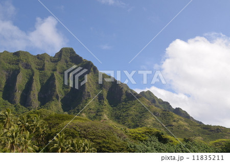 kualoa　ranch 11835211