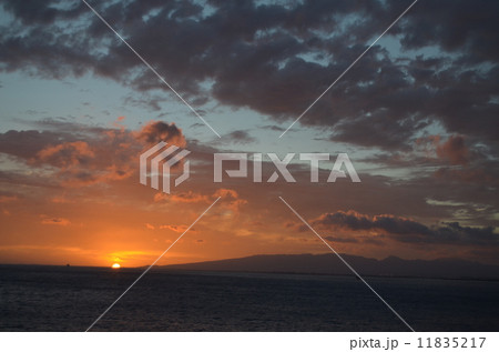 夕日 11835217