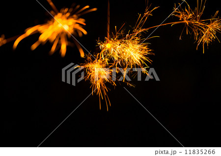 線香花火 11835266