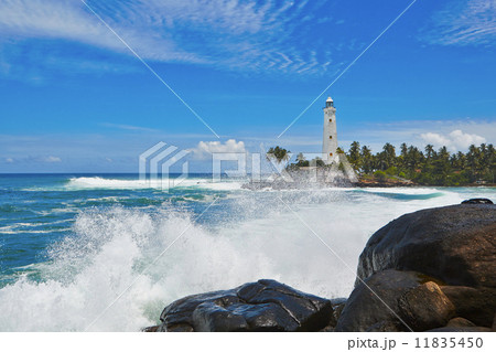 Lighthouse Lighthouse 11835450