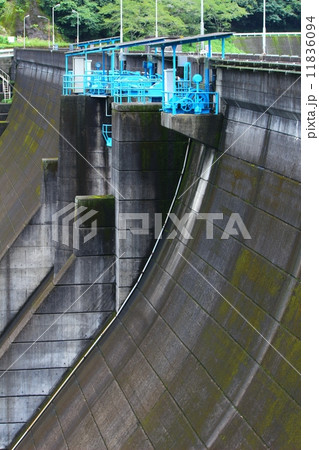 天君ダム 11836094