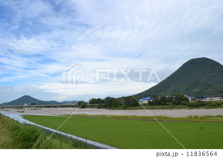 飯野山 飯野山 11836564