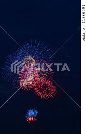 花火 11836691