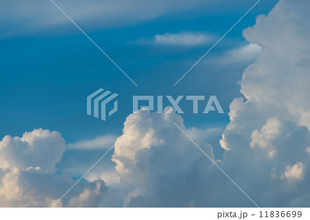 真夏の積乱雲　自然風景の写真素材 11836699