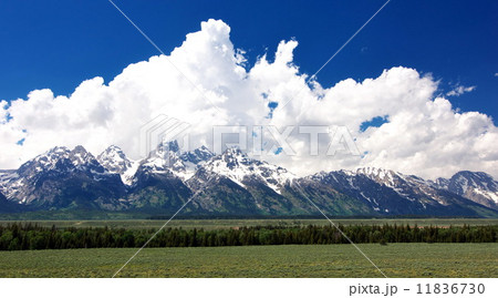 ティトン山脈の雄大な眺め 11836730