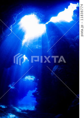 水中からの光のカーテン 水中からの光のカーテン 11836774