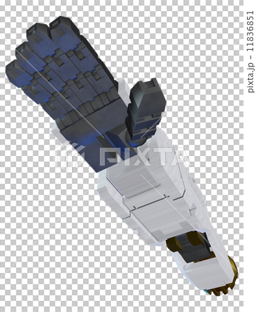 hand, ring finger, third finger 11836851