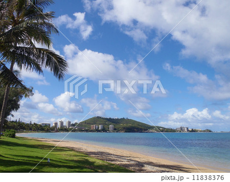 青空の下で癒されたいですね 11838376