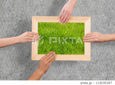 Greenery concept 11838387