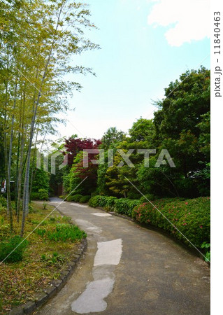 丈山苑内の小路 丈山苑内の小路 11840463