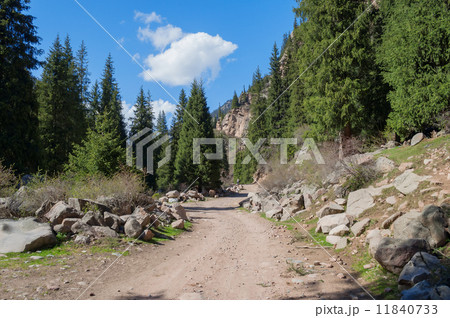 Grigorevsky gorge 11840733