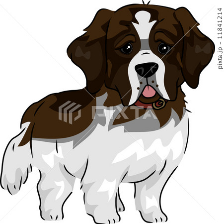 St. Bernard 11841214