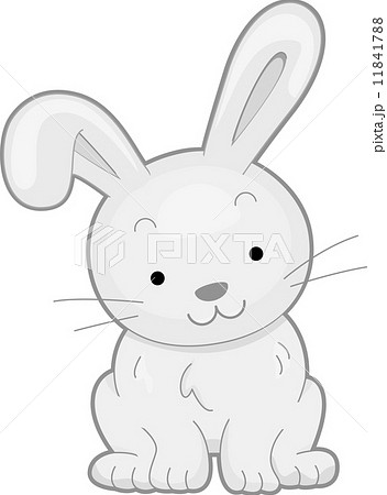 Rabbit Front View 11841788