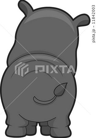 Rhinoceros Back View 11842003