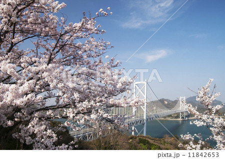 しまなみ海道 春景色 しまなみ海道 春景色 11842653