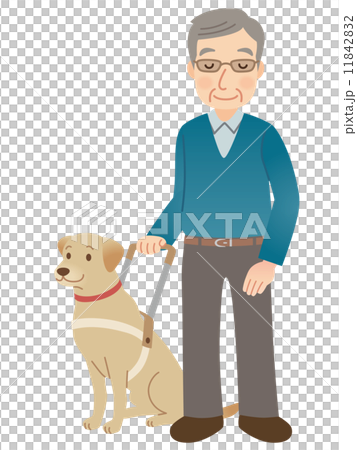Guide dog visually impaired 11842832