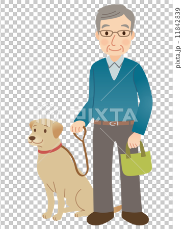 犬の散歩をする男性　高齢者 11842839