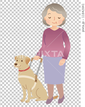 Guide dog visually impaired Guide dog visually impaired 11842841