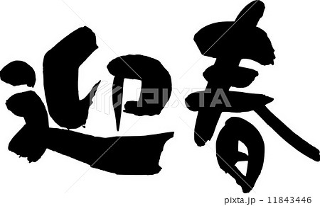 迎春 迎春 11843446