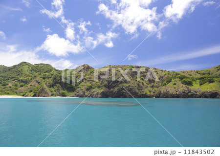 小笠原　父島の海 11843502