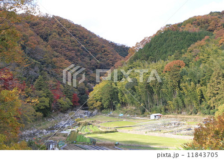 摂津峡公園 11843705