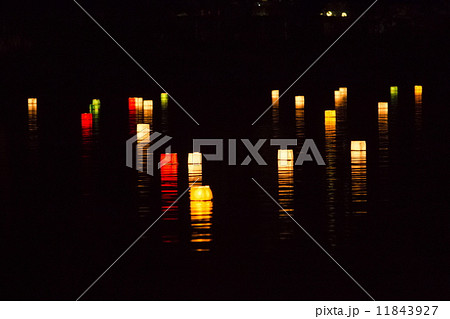 広沢池の灯籠流し 11843927