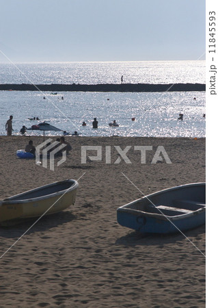 浜辺 11845593
