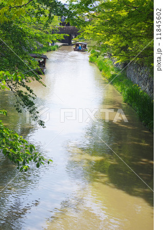 初夏の八幡堀 11845602