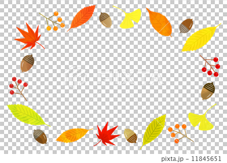 木葉的框架 11845651