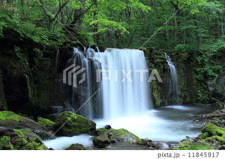 銚子大滝 11845917