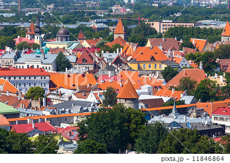 Old Town in Tallinn 11846864