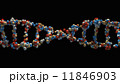 DNA strand close-up 11846903