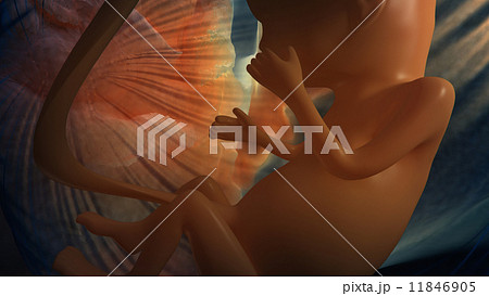 Unborn baby Unborn baby 11846905