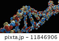 DNA strand close-up 11846906