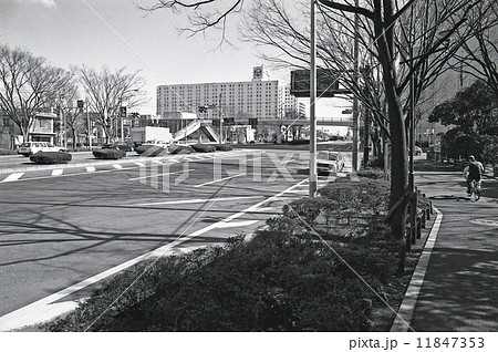 東京湾埋立地・晴海 1990年代の記録 東京湾埋立地・晴海 1990年代の記録 11847353