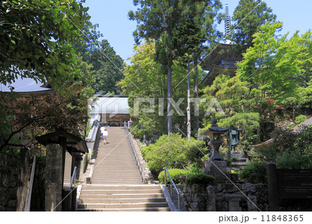 四国霊場第20番札所「鶴林寺」本堂と三重塔(左は太子堂) 四国霊場第20番札所「鶴林寺」本堂と三重塔(左は太子堂) 11848365