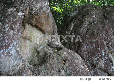 香川県丸亀市飯野山(讃岐富士)山頂、巨人伝説「おじょも」の足跡 香川県丸亀市飯野山(讃岐富士)山頂、巨人伝説「おじょも」の足跡 11848705