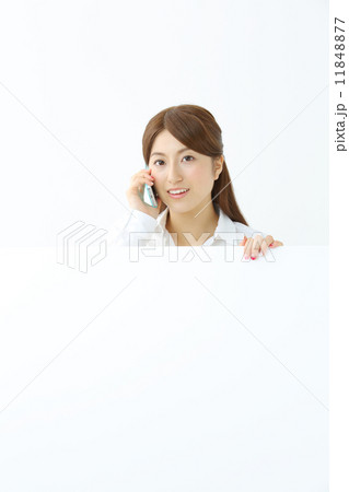 ホワイトボード・若い女性 ホワイトボード・若い女性 11848877
