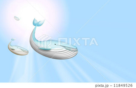 青空を飛ぶクジラ 3頭 複数 逆光 イラスト Cg 白昼のイラスト素材