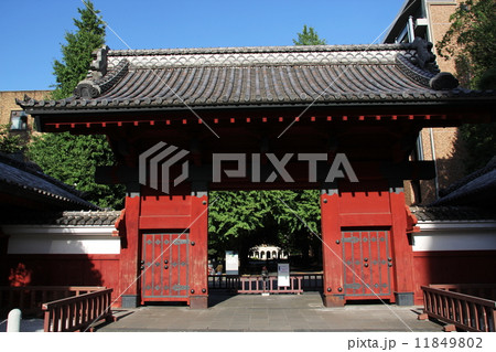 赤門 11849802