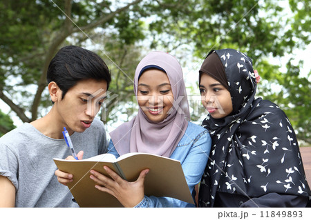 公園でノートを見る3人のアジア人 公園でノートを見る3人のアジア人 11849893